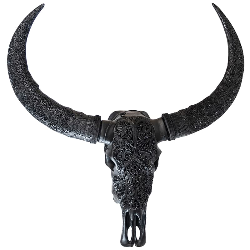 Büffelkopf - Schwarz